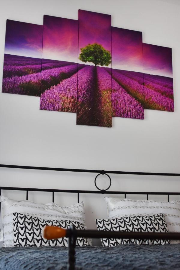 Studio Apartment Old Town Castle ซาโมบอร์ ภายนอก รูปภาพ